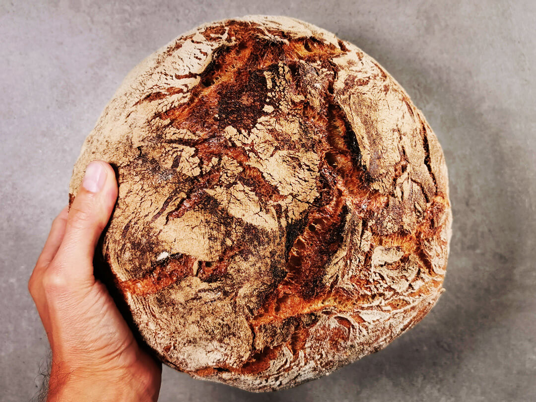 Einfaches Lievito Madre Brot mit der Challenger Breadpan - www.brooot.de