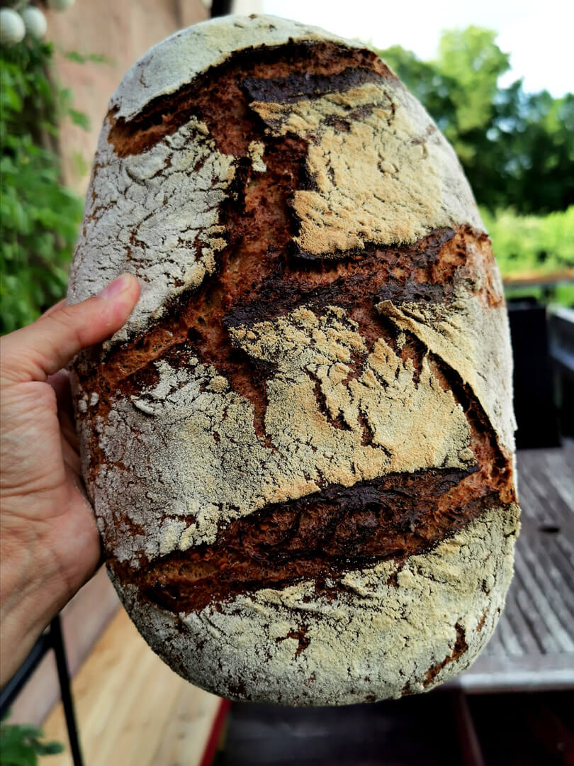 Mein Rezept für Weizen-Roggen-Mischbrot mit roten Linsen