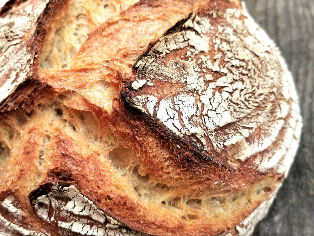 Italienisches Weißbrot - 5 Minuten No-Knead - www.brooot.de