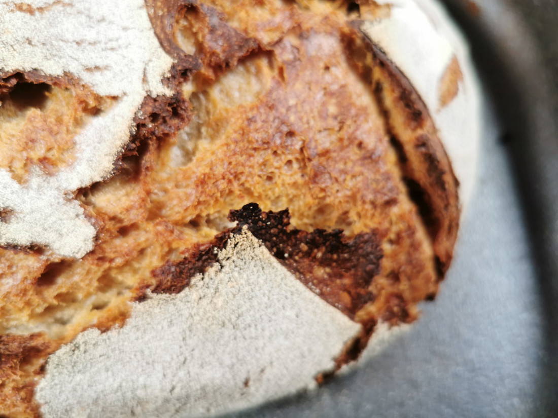 Rezept für ein Hausbrot - Einfache Brotrezepte von brooot.de
