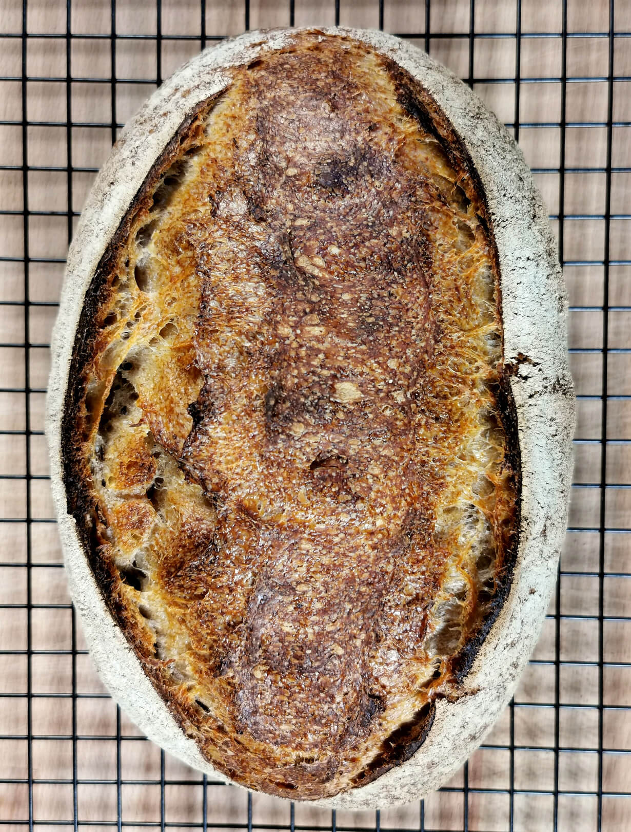 Mein Easy Peasy Sauerteigbrot [Rezept für Hobbybäcker]