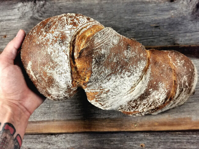 Rezeptbild: Knorzen-Wurzelbrot