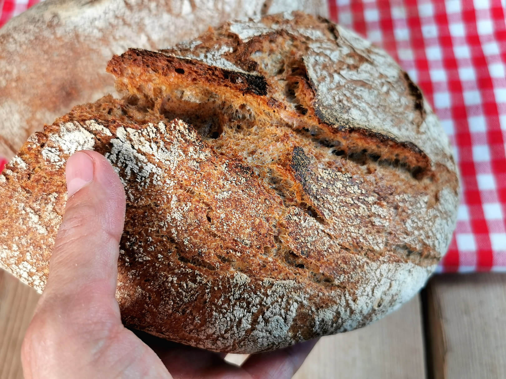 Altbrot-Sauerteig-Brot - Brot mit viel altem Brot [Rezept]