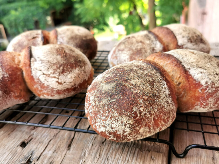 Original St. Galler Bürli mit Sauerteig [Einfaches Rezept]