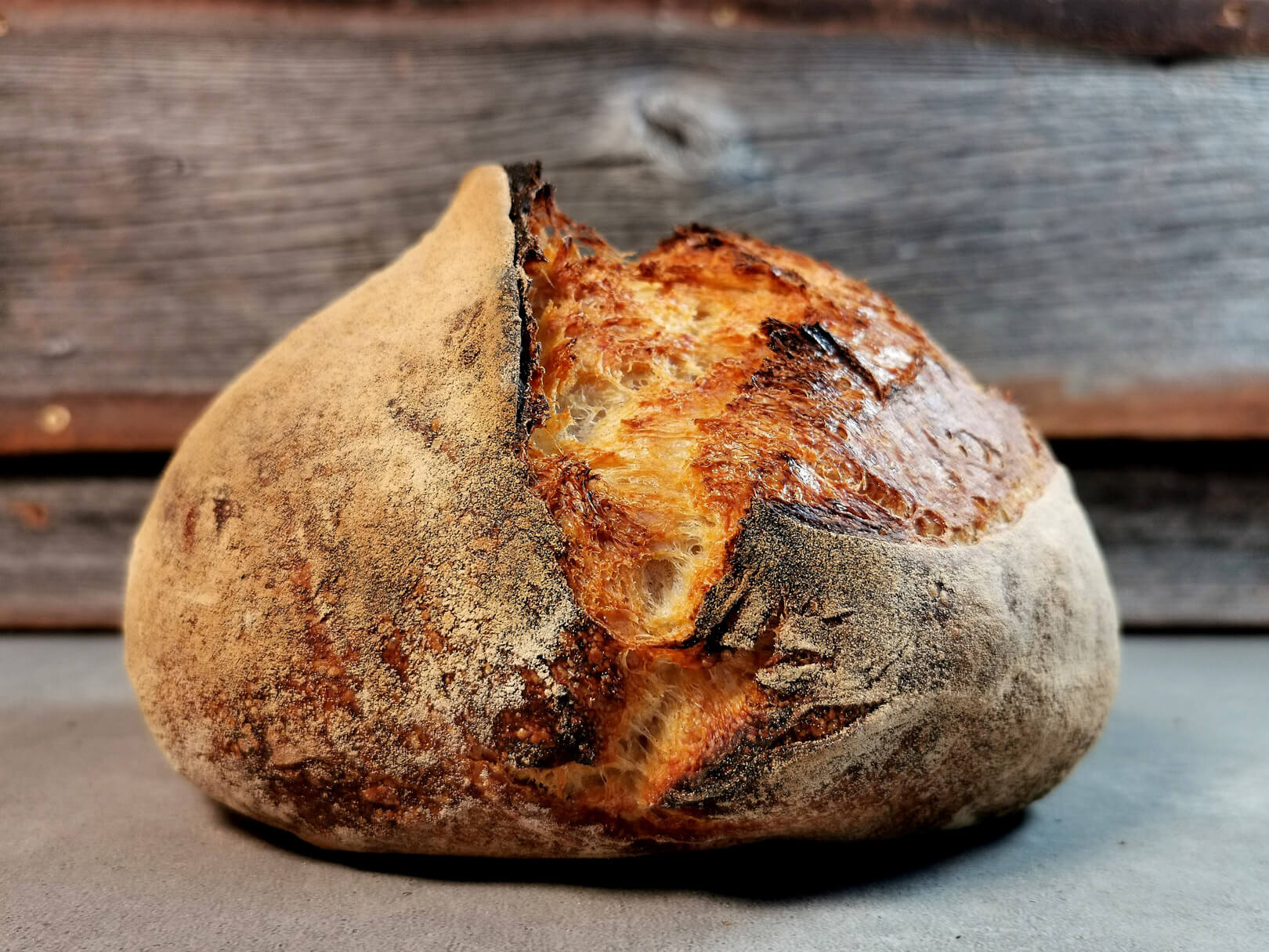 Italienisches Sauerteig-Weißbrot mit Lievito Madre