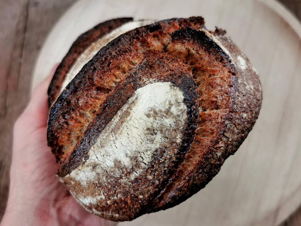 100% Vollkorn Sauerteig-Mischbrot [Einfaches Rezept]