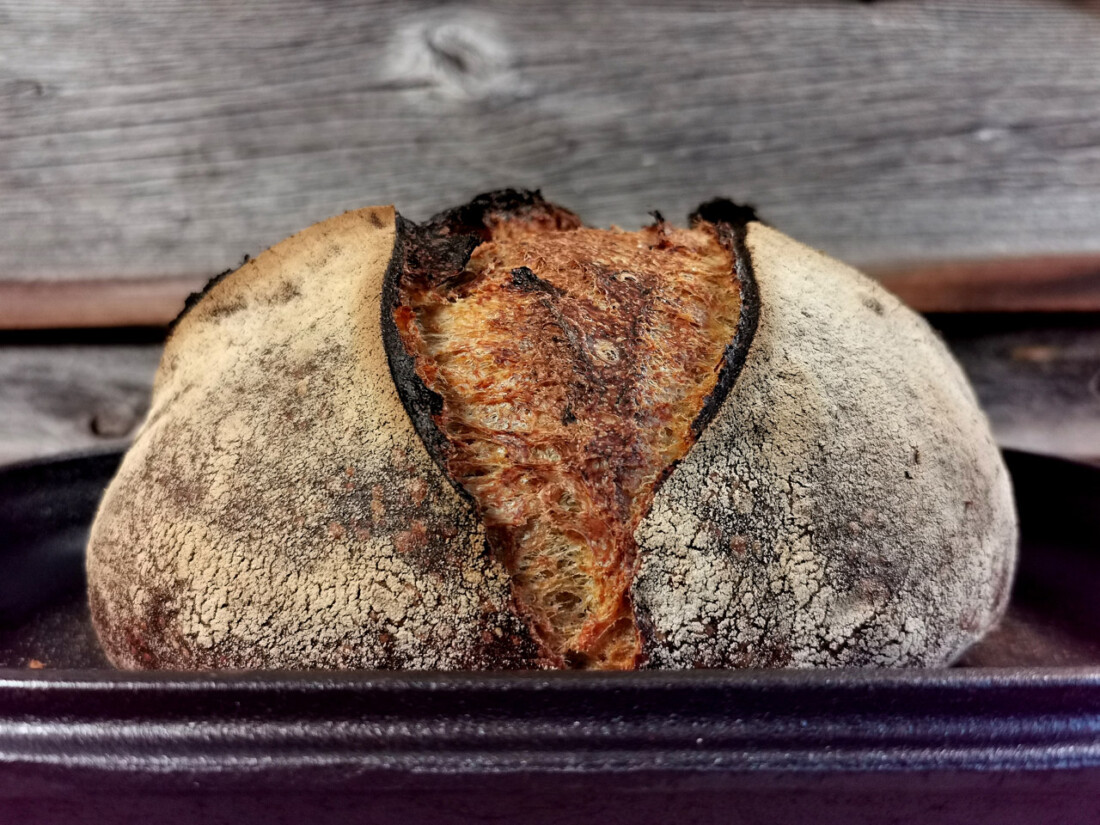 Woran Erkenne Ich Ob Brot Fertig Gebacken Ist 5 einfache Wege zu erkennen, ob dein Brot durchgebacken ist?