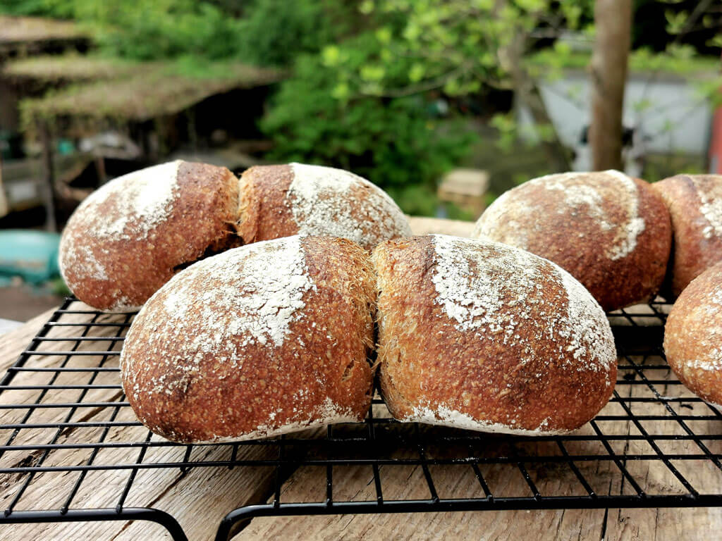 Rezept für Schweizer Vollkorn-Bürli [Einfaches Rezept]