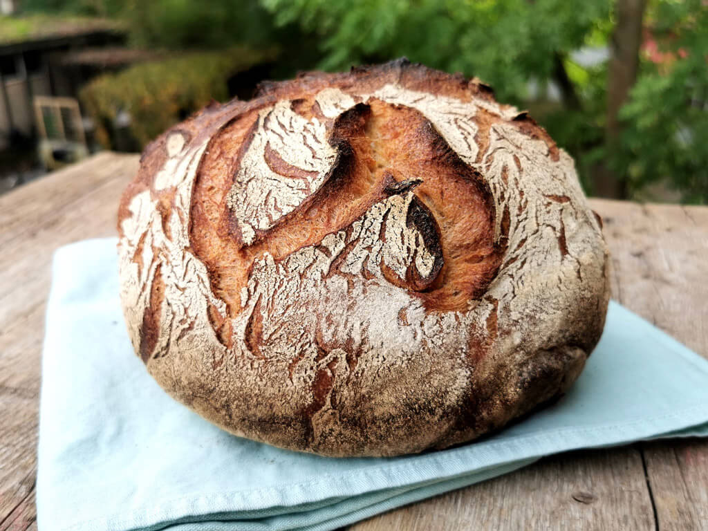 All-in-One Joghurt-Brot So schnell und so lecker