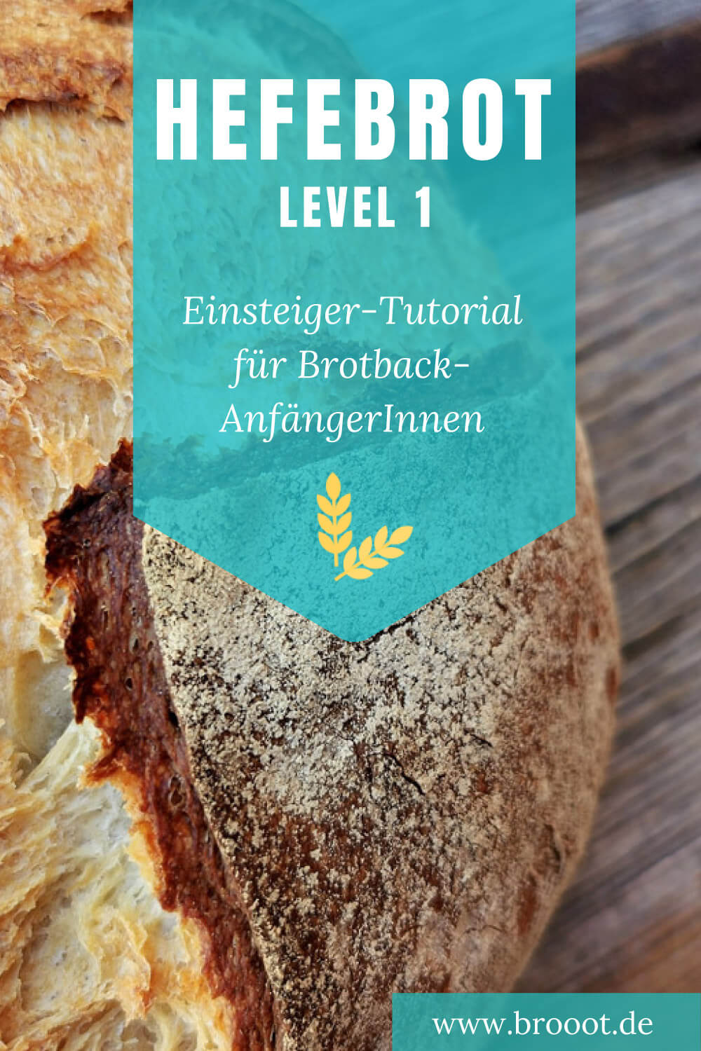 Brotbacken lernen für Anfänger Hefe-Weizenbrot - Level 1