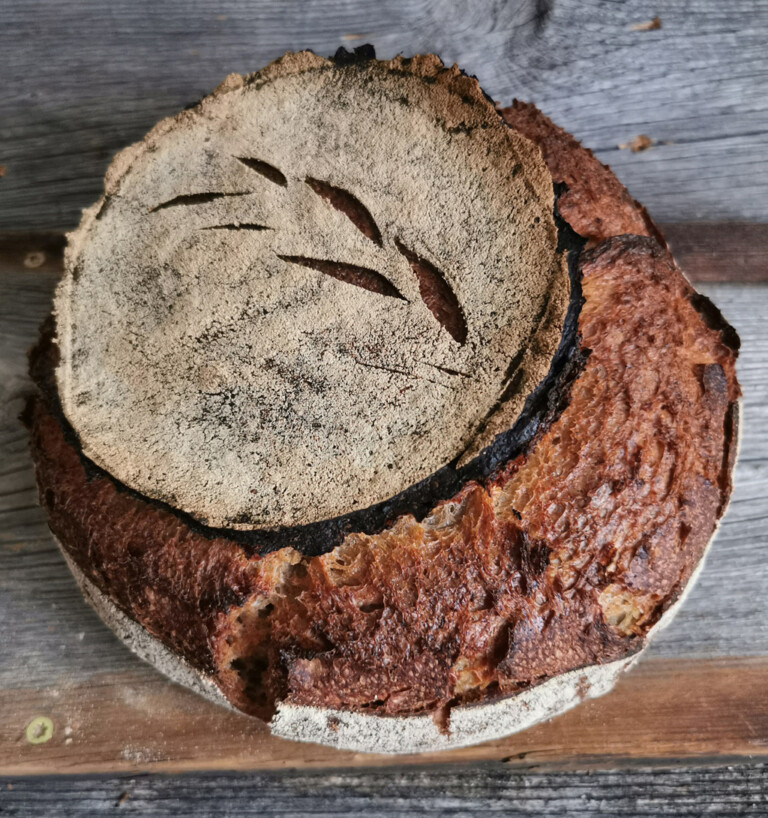 Sechskornbrot Das perfekte Brot zur Brotzeit
