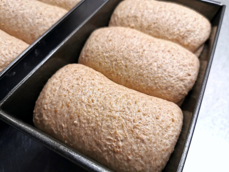 Vollkorn Milchbrot-Brioche Ganz einfach nachbacken!
