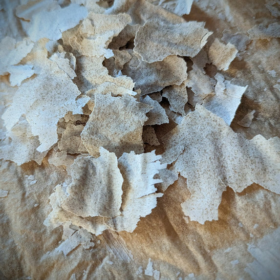 Getrockneter Sauerteig
