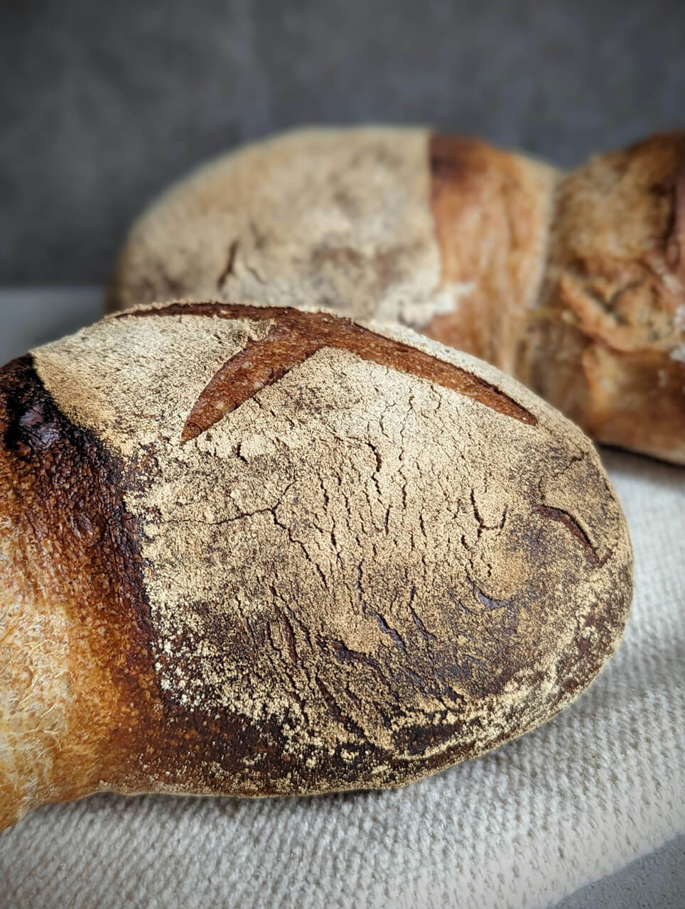 Klassisches Basler Brot Ein einfaches Schweizer Rezept