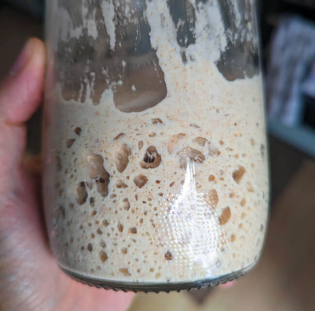Die Säure im Sauerteigbrot steuern: Von mild bis sehr sauer