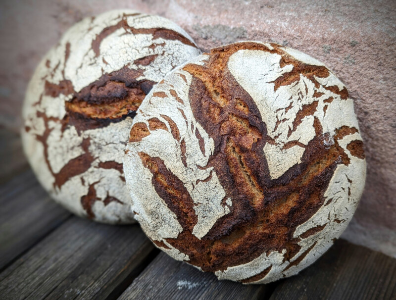 Alles übers Brotbacken im Topf brooot.de