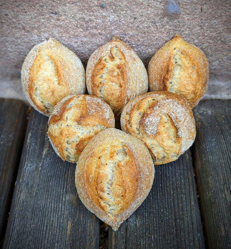 Kartoffelbrötchen So einfach können gute Brötchen sein