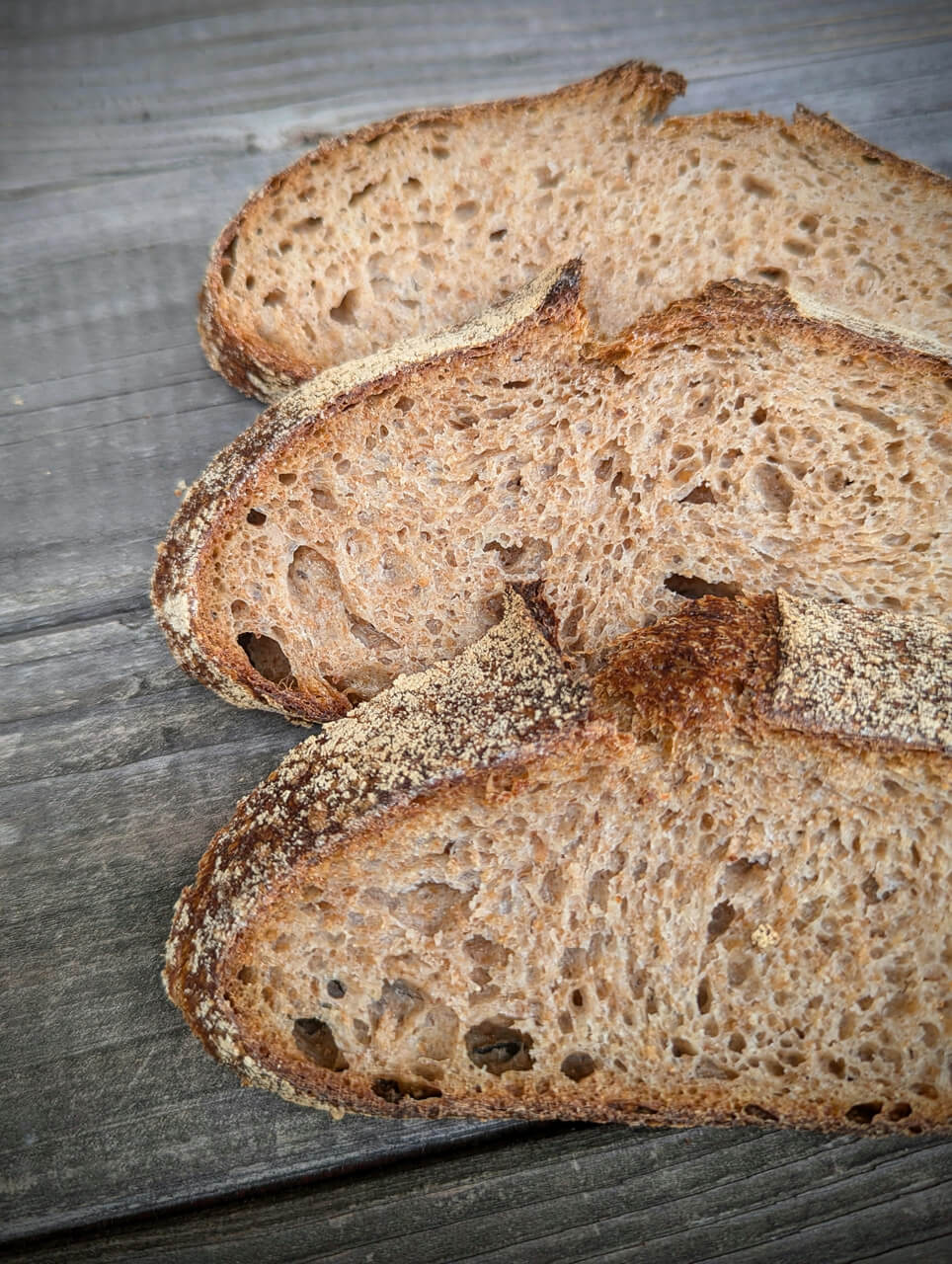 Weizenvollkornbrot So lecker kann Vollkornbrot sein! Weizenvollkornbrot So lecker kann Vollkornbrot sein!