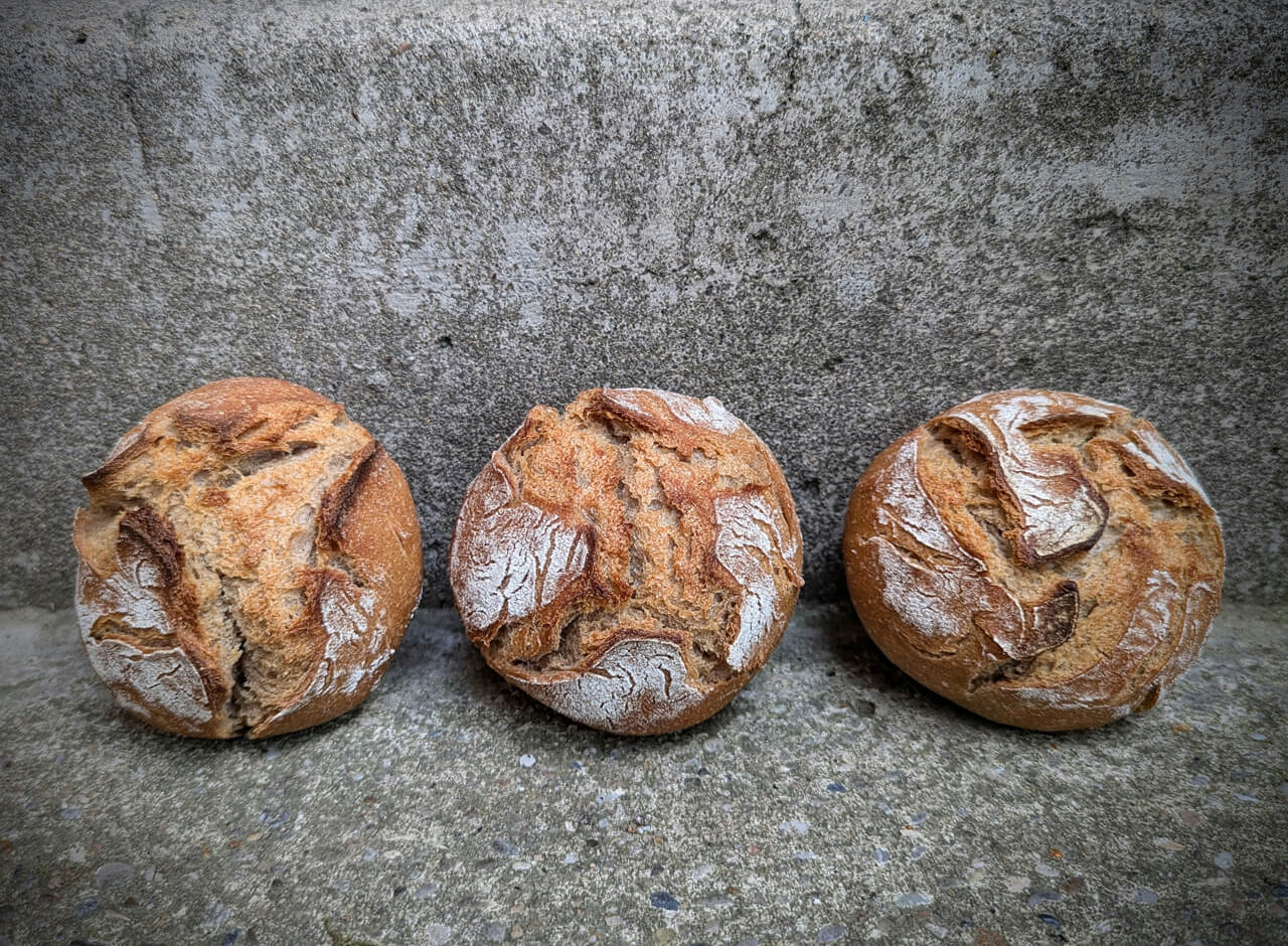 Rustikale Bauernbrötchen Rezept zum selber backen