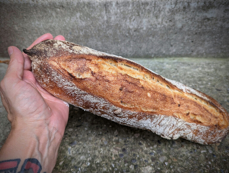 Kartoffelbrötchen So einfach können gute Brötchen sein