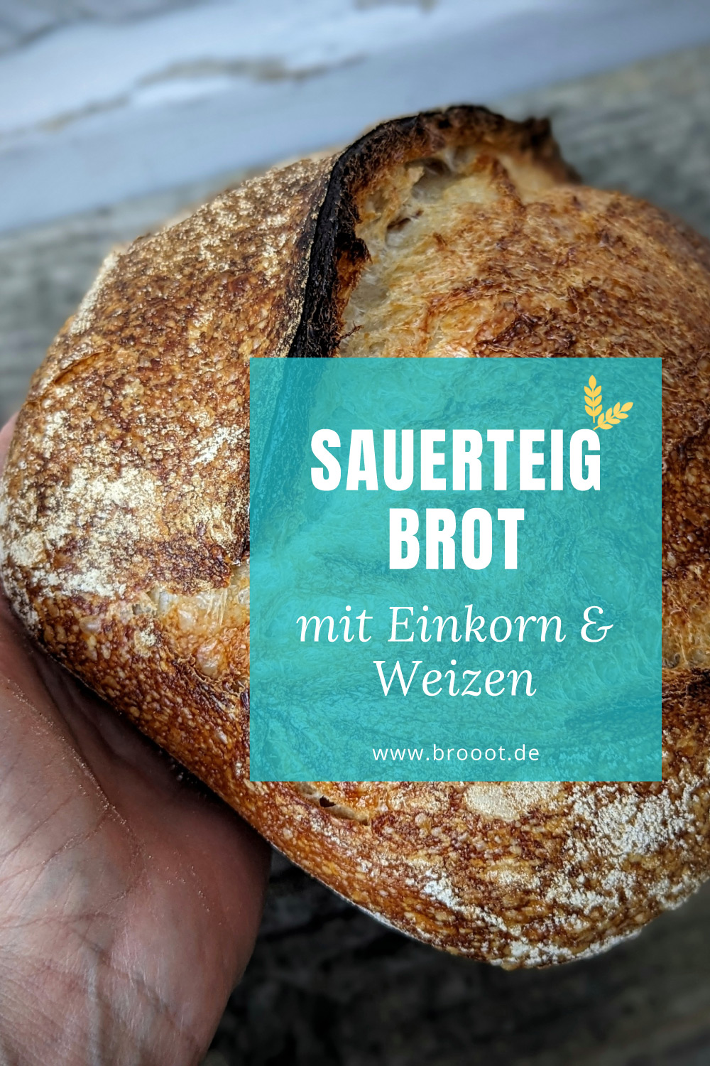 Das Sauerteigbrot mit Einkorn Knusprig, würzig & einfach toll! Das Sauerteigbrot mit Einkorn Knusprig, würzig & einfach toll!