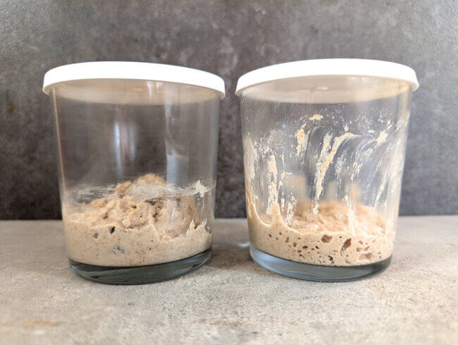 Links: zu junger Sauerteig; Rechts: reifer Sauerteig