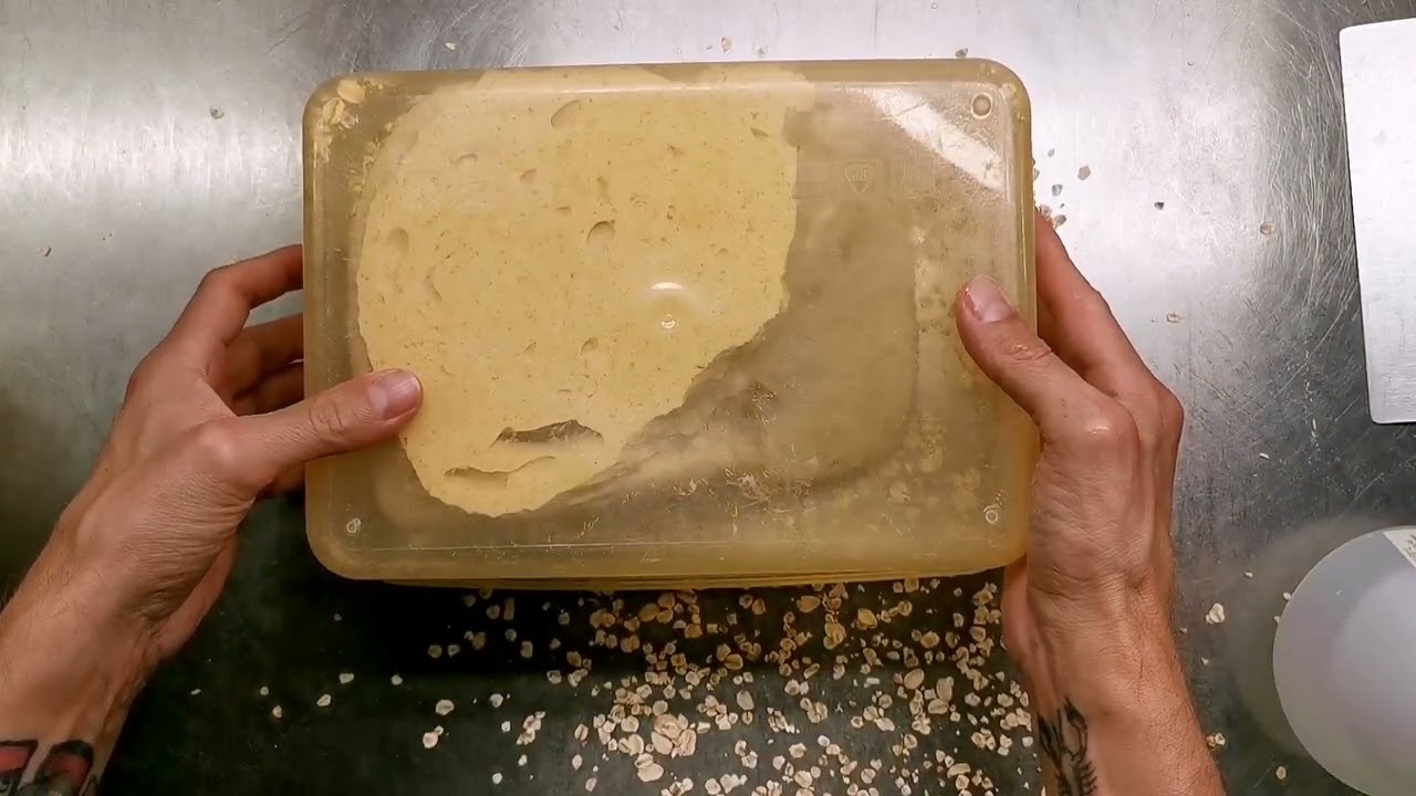 Haferflocken-Brot Du hast die Wahl: Mit oder ohne Sauerteig